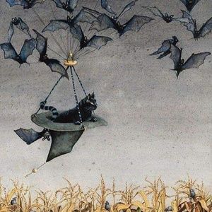 Meet your Posher, Shelli